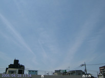 in Tokyo 2006.4.28 11:54  (enlarg. 00)
