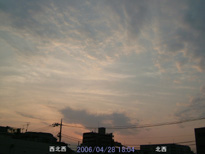in Tokyo 2006.4.28 18:04 k (k)(enlarg. 06)