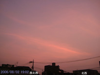 in Tokyo 2006.8.2 19:02 k (enlarg. 14)