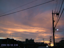 in Tokyo 2006.8.8 04:58 k (enlarg. 61)