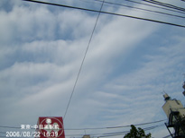 in Tokyo 2006.8.22 16:39  (enlarg. 56)