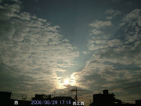 in Tokyo 2006.8.29 17:14 k (enlarg. 69)