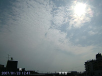 in Tokyo 2007.1.28 12:47 쐼 (enlarg. 18)