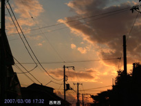 in Tokyo 2007.3.8 17:32  (enlarg. 42)
