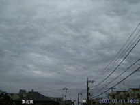 in Tokyo 2007.3.11 14:22  (enlarg. 28)