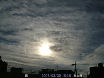 in Tokyo 2007.3.30 16:39  (enlarg. 91)