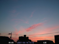 in Tokyo 2007.6.16 19:18 k (enlarg. 53)