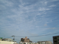 in Tokyo 2007.6.17 06:39 k-k (enlarg. 29)