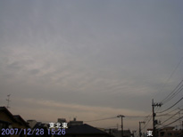 in Tokyo 2007.12.28 15:26 k (enlarg. 66)