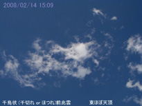 in Tokyo 2008.2.14 15:09  (enlarg. 90)