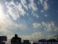 in Tokyo 2008.2.15 14:12  (enlarg. 03)