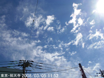 in Tokyo 2008.3.5 11:52 쓌 (enlarg. 26)