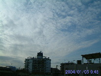in Tokyo 2004.1.05 09:48 쐼(enlarg. 16)