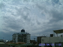 in Tokyo 2004.4.8 11:00 쐼(enlarg. 80)
